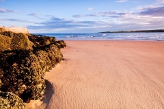 Landscape-1